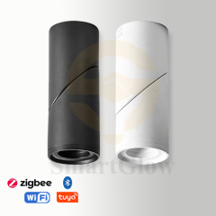 【SG737】2.7-inch Adjustable Surface Mounted Cylindrical LED Spotlights