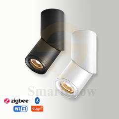 【SG737】2.7-inch Adjustable Surface Mounted Cylindrical LED Spotlights