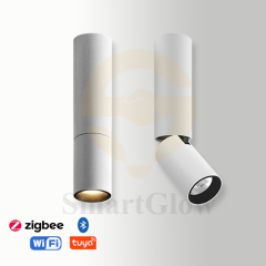 【SG739】2.4-inch Adjustable Surface Mounted Long Cylindrical LED Downlights