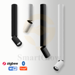 【SG739】2.4-inch Adjustable Surface Mounted Long Cylindrical LED Downlights