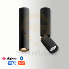 【SG739】2.4-inch Adjustable Surface Mounted Long Cylindrical LED Downlights