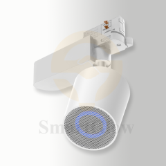 Black/White Aluminum Track 6 DIP SWITCH Bluetooth Speaker