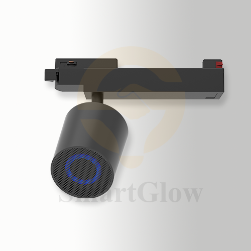 220V 6 DIP SWITCH Track Bluetooth Speaker