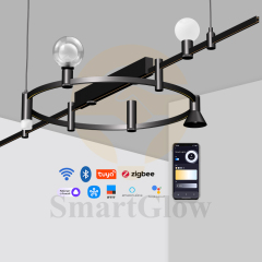 Smart 48V Minimalist LED Suspended Magnetic Track Down Light