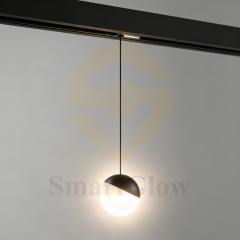 Low Voltage LED Hanging Magnetic Track Round Ball Lights - 240° Beam Angle