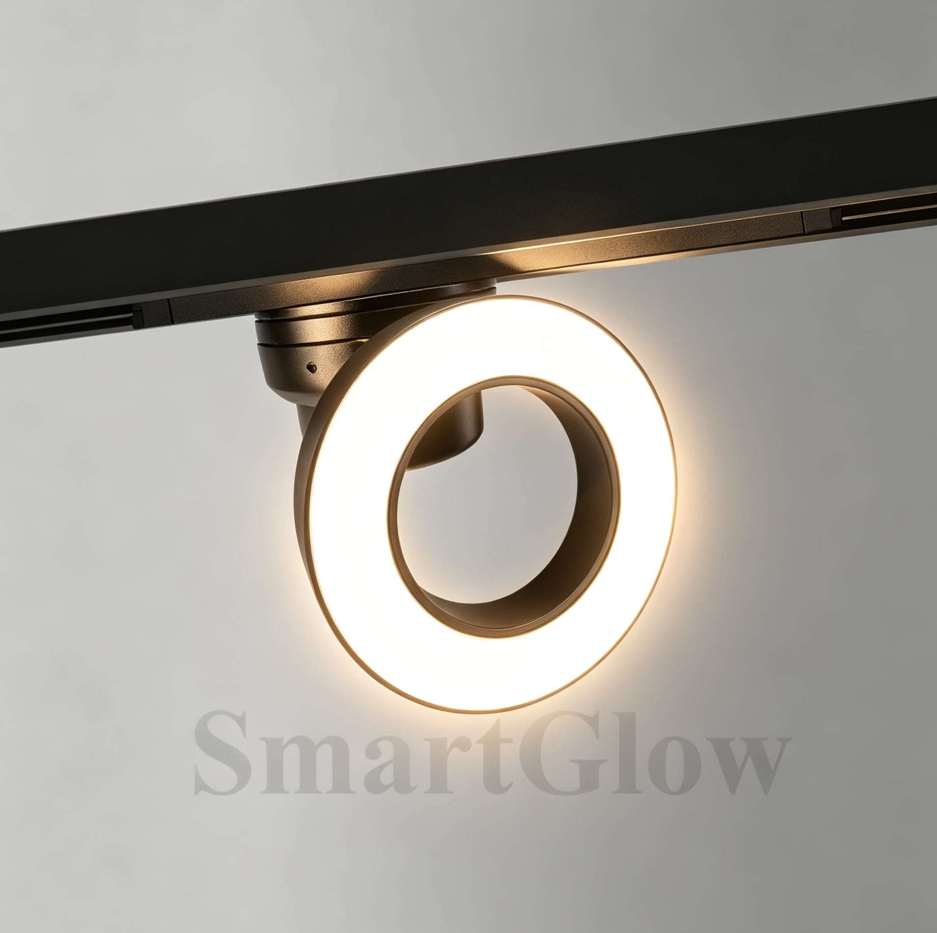 Smart Control 220V Adjustable LED Magnetic Track Round Floodlight