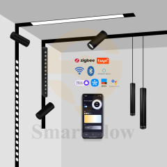Smart Control Wireless LED Magnetic Track Triple Head Spotlights