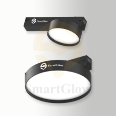 Smart DIP-3CCT Dimmable Round Magnetic Mounted-Flood Light