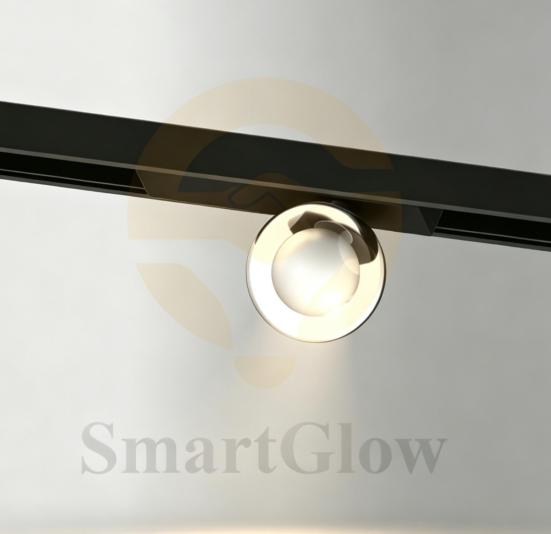Decorative LED Magnetic Track Double Layered Glass Ball Light