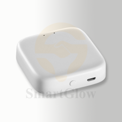 TUYA2.4G Gateway - Smart Control Mganetic Track Accessories