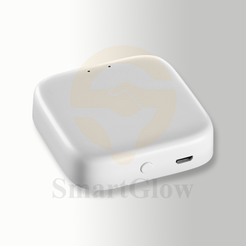 TUYA2.4G Gateway - Smart Control Mganetic Track Accessories