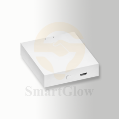 TUYA2.4G Gateway - Smart Control Mganetic Track Accessories