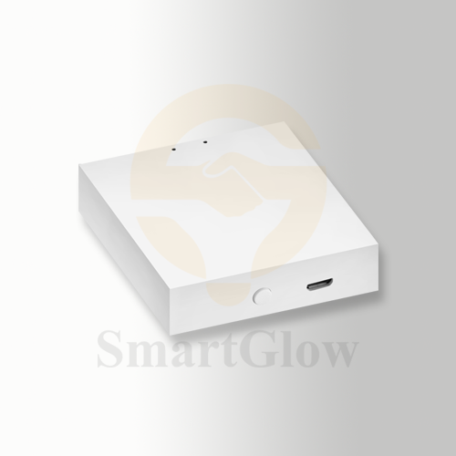TUYA2.4G Gateway - Smart Control Mganetic Track Accessories
