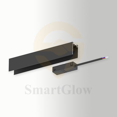 Input Module
