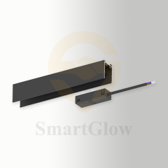 Input Module