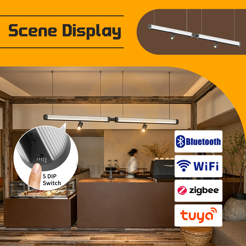 48V Circular Pendant LED Office Magnetic Track Light System -  5CCT Dimmable