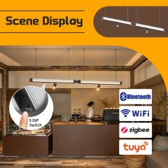48V Circular Pendant LED Office Magnetic Track Light System -  5CCT Dimmable