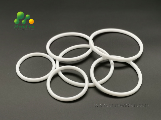 Backup Rings