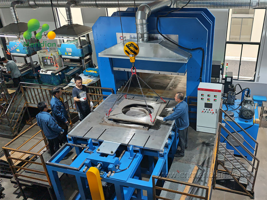 Customized molded O Rings