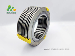 Spiral-Wound Gasket