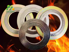 Spiral-Wound Gasket