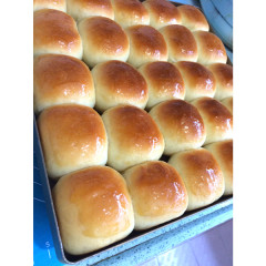 喷蛋机 HS28,佛山市宏晟机械设备有限公司,Egg Spraying Machine(for whole tray-type) HS28