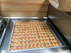 喷蛋机 HS28,佛山市宏晟机械设备有限公司,Egg Spraying Machine(for whole tray-type) HS28