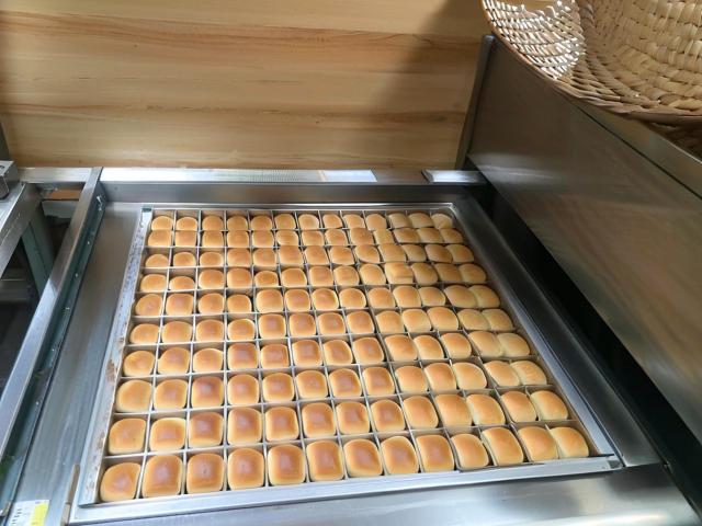 喷蛋机 HS28,佛山市宏晟机械设备有限公司,Egg Spraying Machine(for whole tray-type) HS28