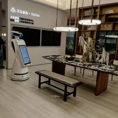 Consulting Reception Business Welcome AI Service Humanoid Robot Welcome Guide