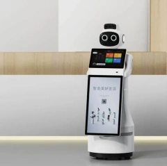 Professional Reception Robot Intelligent Humanoid Welcome Robot