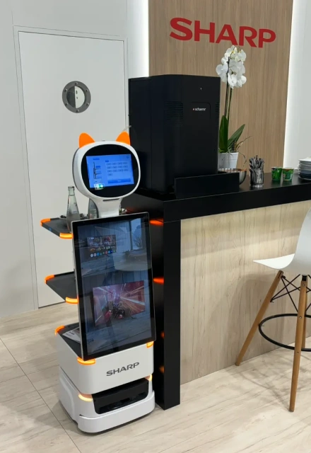 Commercial Mobile Advertising Robot Indoor Display Video Robot Explain With 27 inch HD Screen For Supermarket Shoppingmall Exhibition Hall