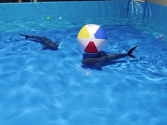 Alfish Robotic Fish Robot Simulated Swimming With Remote Control For Entertainment Praise and Learning