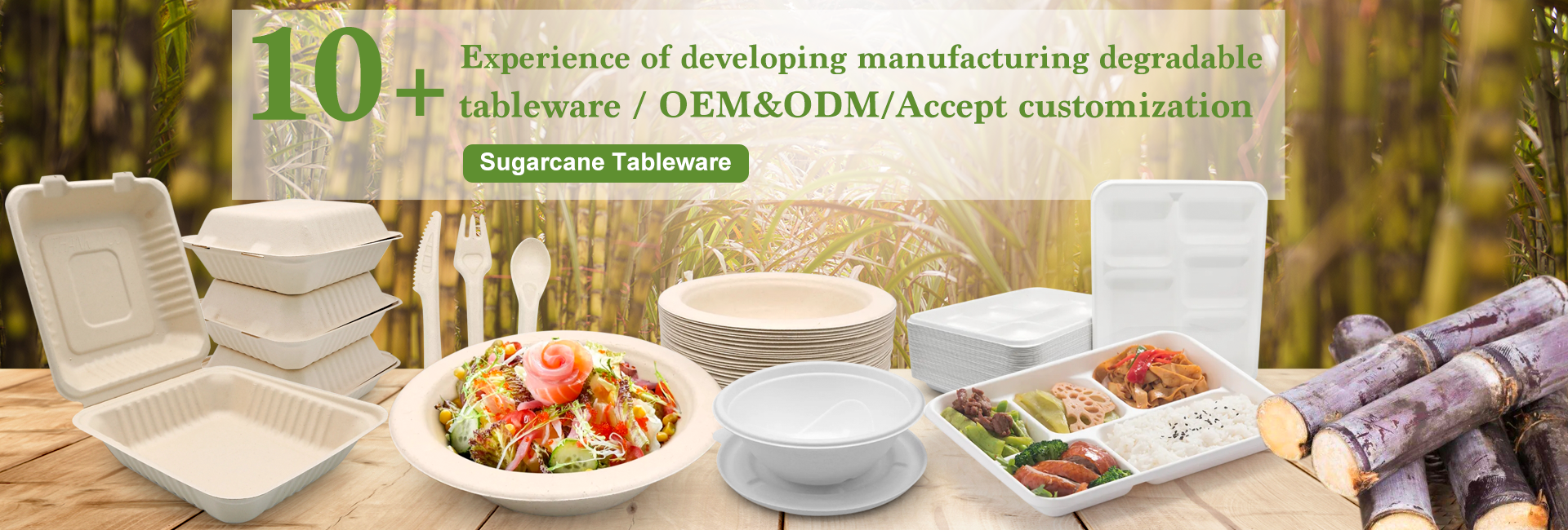 disposable tableware