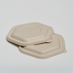 PET Lid of 1050ml Salad Bowl