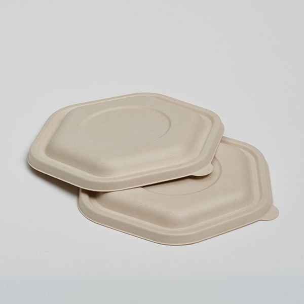 PET Lid of 1050ml Salad Bowl