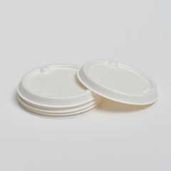 PP Lid of take-away bowls