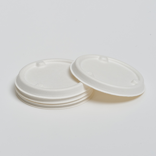 PP Lid of take-away bowls