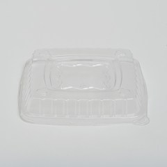 PET lid for SQ Bowl