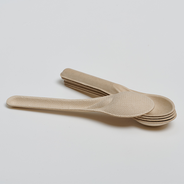 Spoon