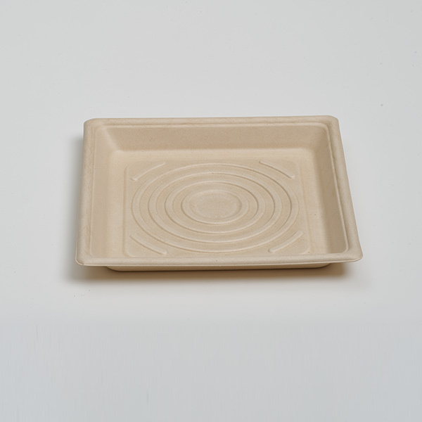custom paper food trays - 10 inch square format