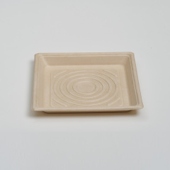 custom paper food trays - 10 inch square format