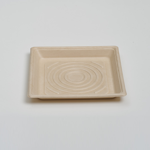 custom paper food trays - 10 inch square format