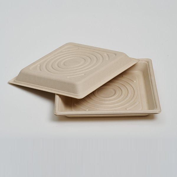 custom paper food trays - 10 inch square format