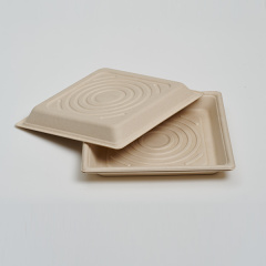 custom paper food trays - 10 inch square format