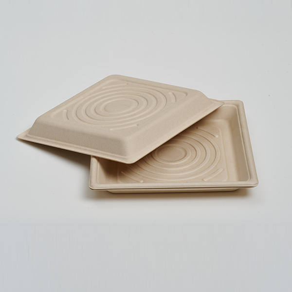 custom paper food trays - 10 inch square format