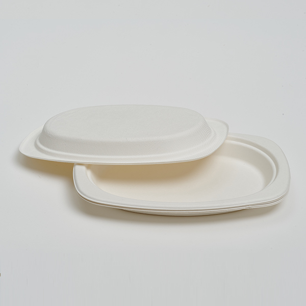 9″*6″ Oval Plate