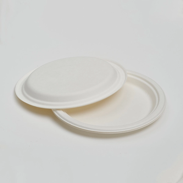 Sugarcane bagasse disposable plate detail image for bulk procurement review