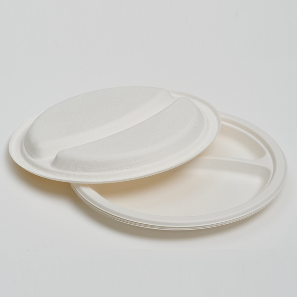 wholesale disposable plates - 2-compartment