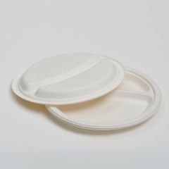 wholesale disposable plates - 2-compartment