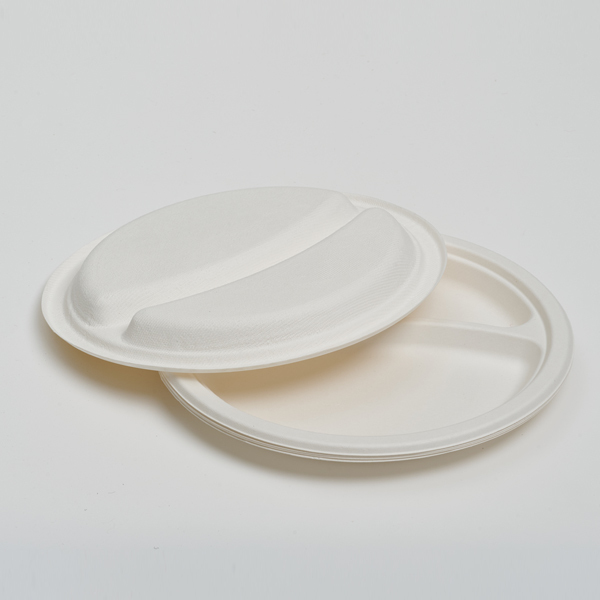 wholesale disposable plates - 2-compartment